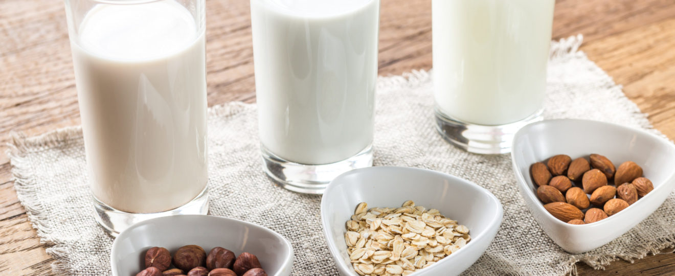 Different types of non-dairy milk